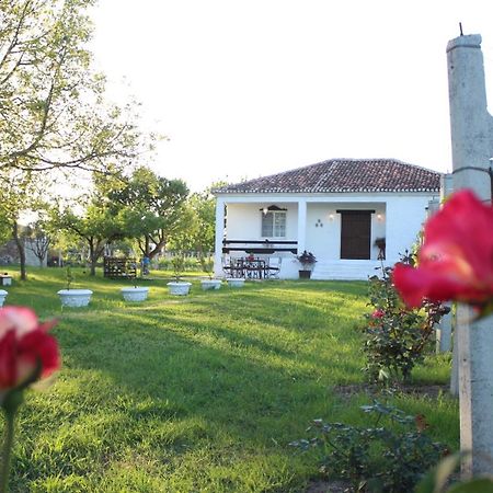 "Per Mik" Cottage In Vineyard Shkodër Buitenkant foto