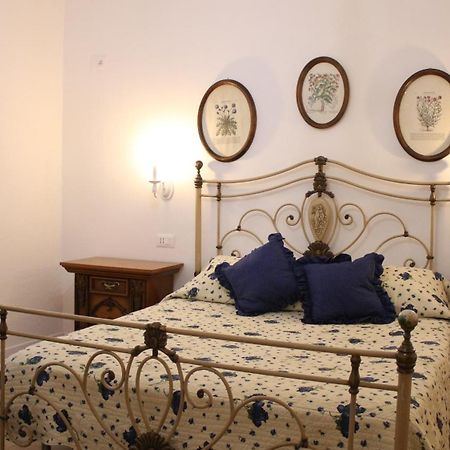 "Per Mik" Cottage In Vineyard Shkodër Buitenkant foto