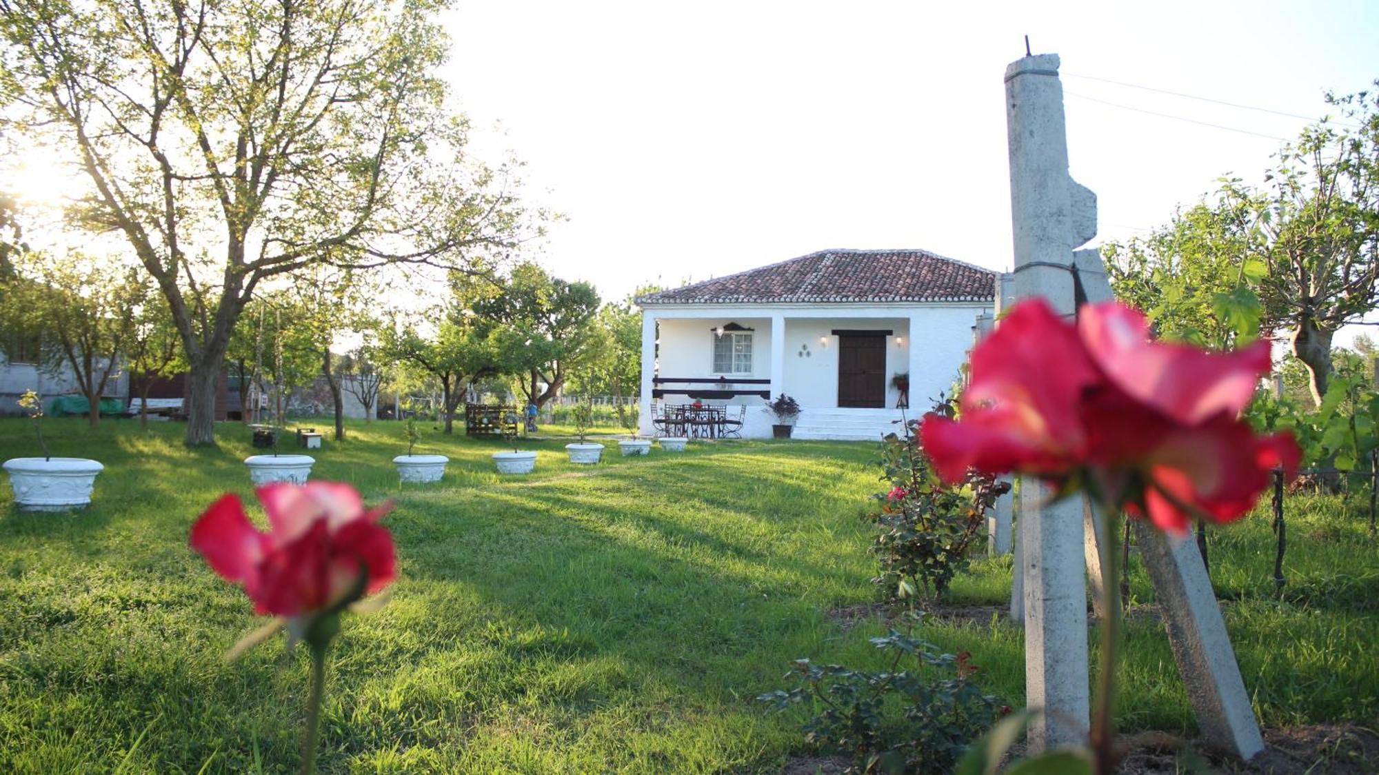 "Per Mik" Cottage In Vineyard Shkodër Buitenkant foto
