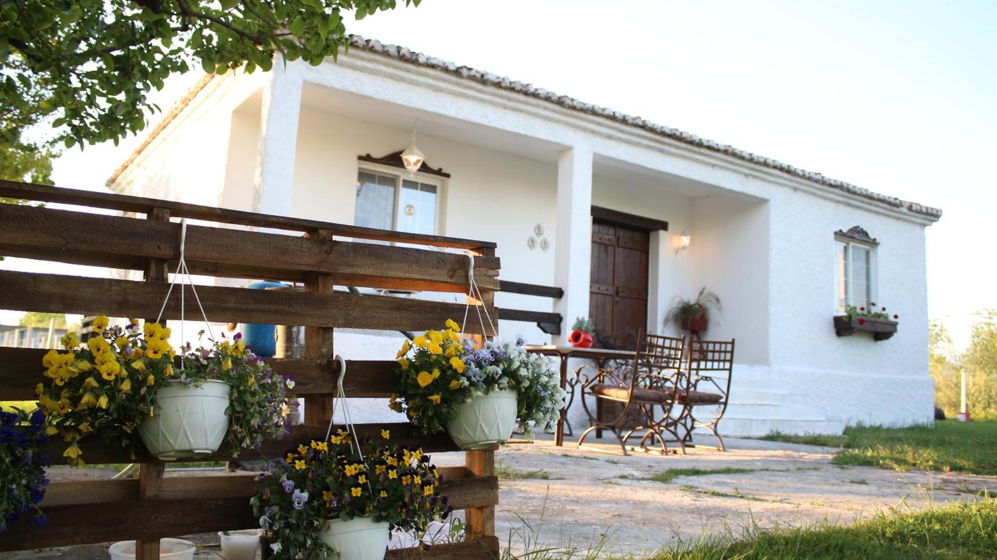 "Per Mik" Cottage In Vineyard Shkodër Buitenkant foto