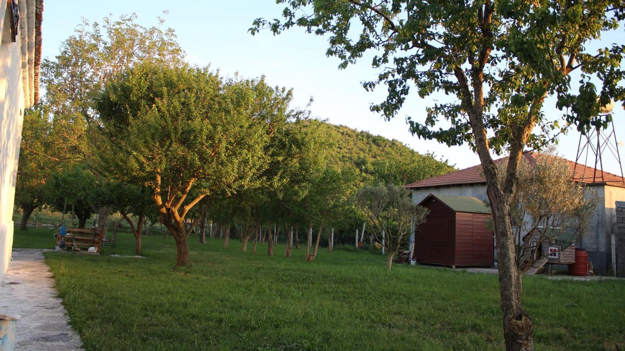 "Per Mik" Cottage In Vineyard Shkodër Buitenkant foto
